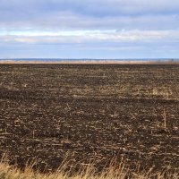 Поля готовы к новым посевам. :: Восковых Анна Васильевна 