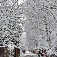 По-зимнему на дачных дорогах :: Валерий Иванович