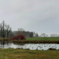 Парк Александрия. Ноябрь :: Наталья Герасимова