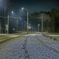 С первым снегом, товарищи! :: Николай Феофанов