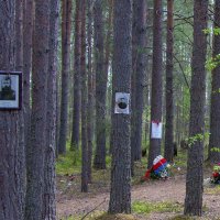 Урочище Сандармох - народный мемориал на месте массовых расстрелов 1937-38 гг :: Gen 