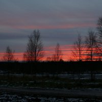 В осенних сумерках :: Ольга 