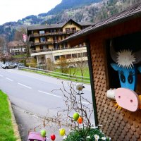 "Lauterbrunnen - Grütschalp" (Mürren). :: "The Natural World" Александер