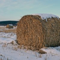 Зимы дыханье снежное :: Сергей М 