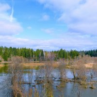 Талая вода :: Николай Соколухин