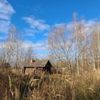 Заброшенная баня в деревне :: Мария Демина