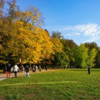 Поляна в Царицыно :: Ольга 