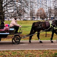 Готовь сани летом ! А телегу запрягай зимой ! ) :: Анатолий Колосов