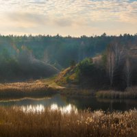 Утро на пруду :: Фёдор. Лашков