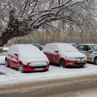 Автомобили под снегом :: Александр Синдерёв