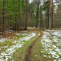 Природа в декабре (репортаж из поездок по области). :: Милешкин Владимир Алексеевич 