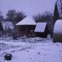 Мой зимний сад :: Людмила Смородинская