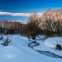 Утром на речке. :: Андрей Андрианов