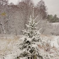 После снегопада :: Андрей Снегерёв