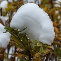 Был снег :: Александр Тарноградский