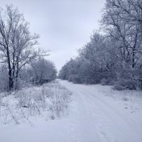 Дорога. :: Андрей Хлопонин