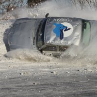 На взлете :: Пасечник 