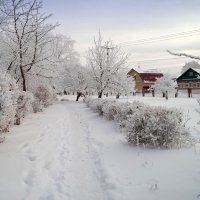 По декабрьским тропинкам.. :: Андрей Заломленков