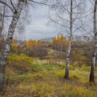 Московская осень... :: Владимир Жданов