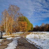 Аллеи парка. :: Михаил. 