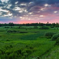 Бежин луг :: Владимир Лазарев