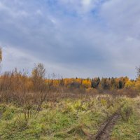 В поле... :: Владимир Жданов