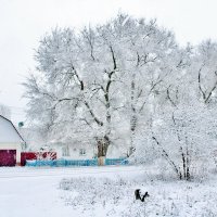 Стоит выйти за ворота...... попадаешь сразу в сказку! :: Восковых Анна Васильевна 