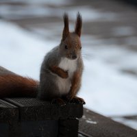 Я иду к Вам... Ждете? :: Вадим Басов