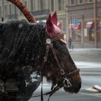 Пришла зима... :: Магомед .