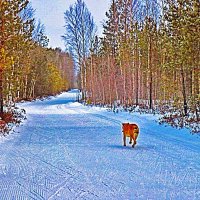 Эх,хозяйка уехала на дачу! :: Владимир 