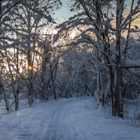 ... :: Евгений(Жора) Житников