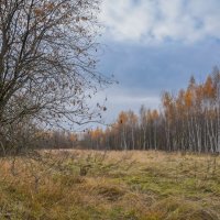 Под небом октября... :: Владимир Жданов