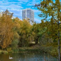 Городская среда :: Николай Соколухин