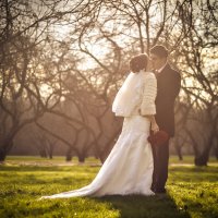 wedding :: Наталия Ботвиньева