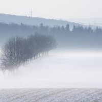 Про туман :: Katerina Less 
