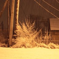 первый снег :: Наталья Якубаева