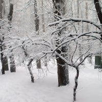 Снегопад в моём дворе :: Константин Беляев