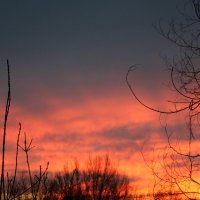 Восход солнца :: Гульнара 