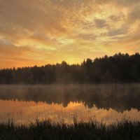 Рассвет над лесным озером :: Олег Самотохин
