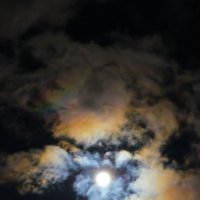 Луна, как бледное пятно :: Кот Шредингера