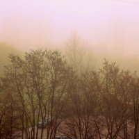 Туман :: Алина Адаменко