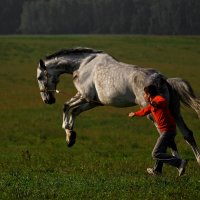 На свободу! :: Ирина Бондаркова