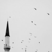 Мечеть :: Сахаб Шамилов