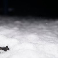 первый снег) :: Паша Любанчик