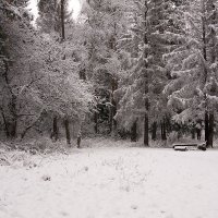 Первый день зимы :: Зоя Лучникова