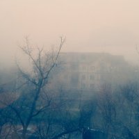 В тумане :: Виктория 