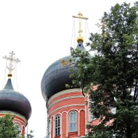 Донской монастырь. :: Геннадий Александрович