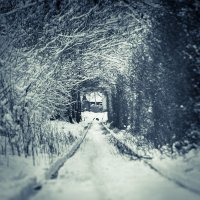 Зимний тоннель!!! :: Михаил Кузнецов