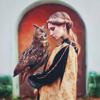 Owl :: Alena Skazka
