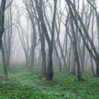 Утренняя прохлада :: Сергей Данила